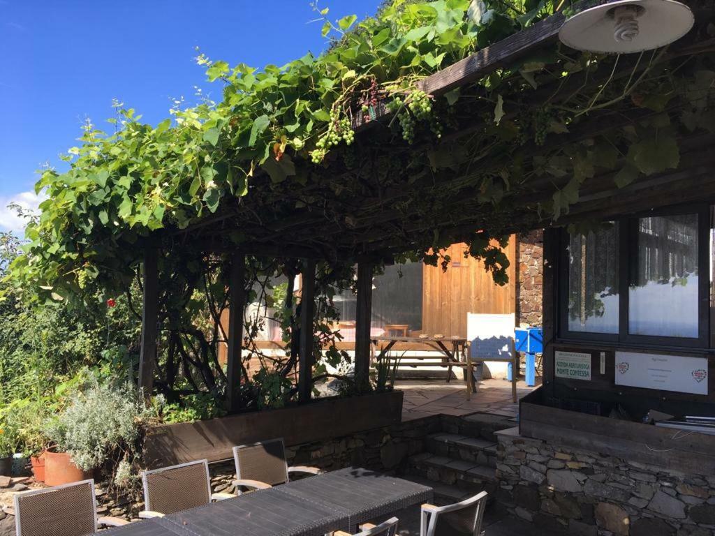 Agriturismo Fattoria Montecontessa Villa Genova Kültér fotó